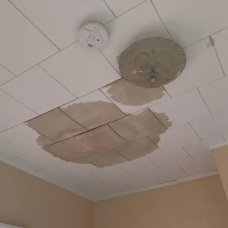 Ceiling Water Damage Repair in Red Bank, NJ